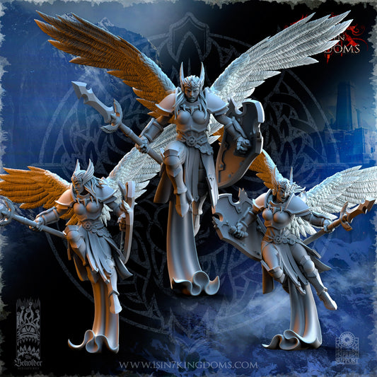 Stormwolves Valkyries Elite Guard Warhammer Fantasy The Beholder Miniatures