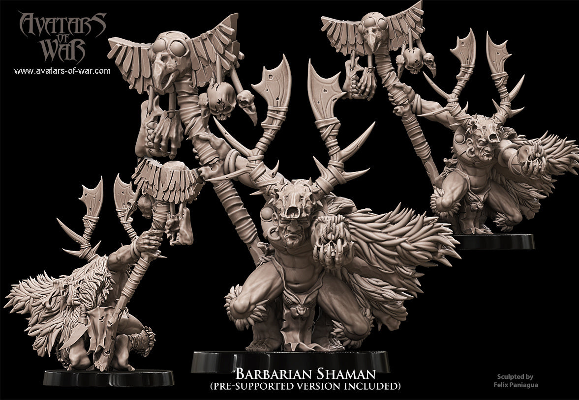 Barbarian Shaman Warhammer Fantasy Avatars of War